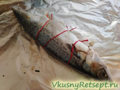 Скумбрия