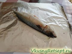 Скумбрия